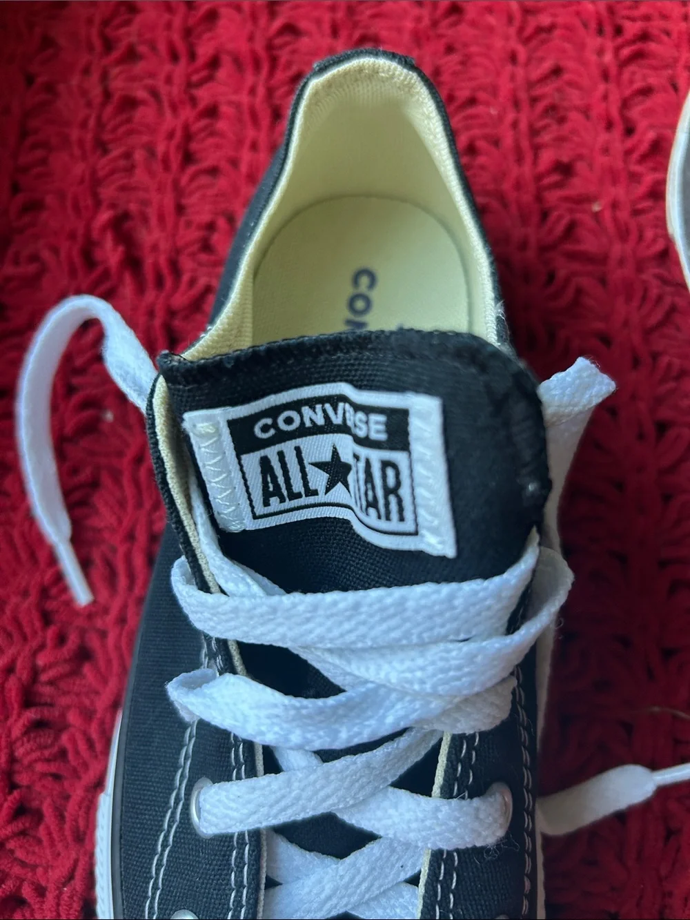 Converse Kids Black Canvas Low Top Sneakers with White Laces